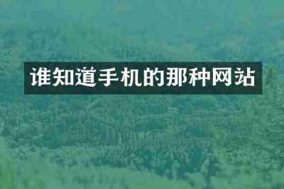 谁知道手机的那种网站