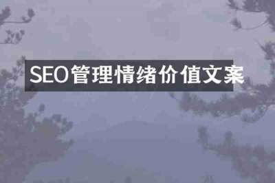 SEO管理情绪价值文案