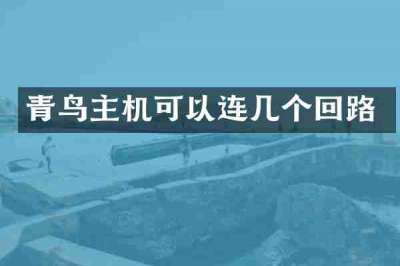 青鸟主机可以连几个回路