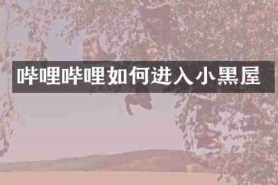 哔哩哔哩如何进入小黑屋