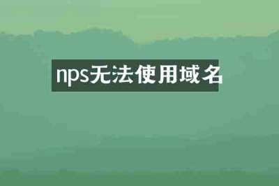 nps无法使用域名
