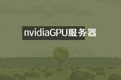 nvidiaGPU服务器