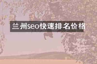 兰州seo快速排名价格