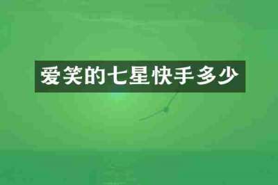 爱笑的七星快手多少