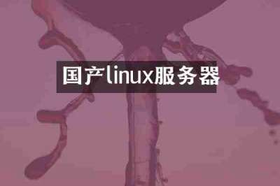 国产linux服务器