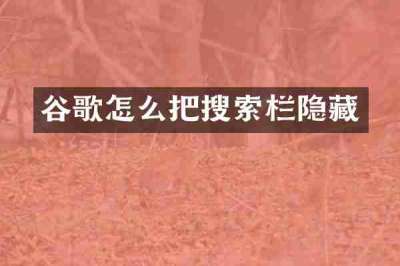 谷歌怎么把搜索栏隐藏