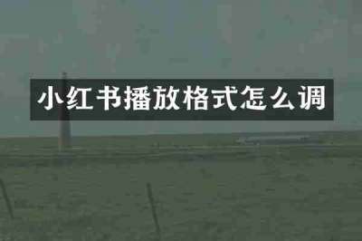 小红书播放格式怎么调