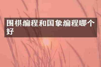 围棋编程和国象编程哪个好
