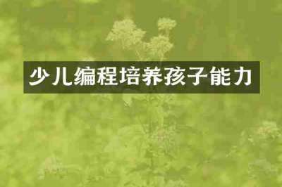 少儿编程培养孩子能力