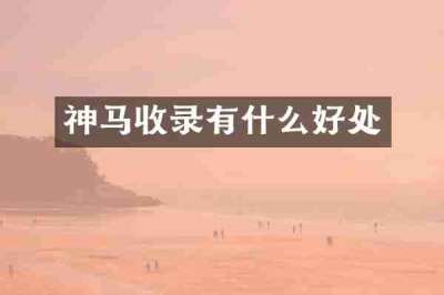 神马收录有什么好处