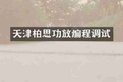 天津柏思功放编程调试