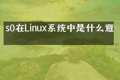 s0在Linux系统中是什么意思