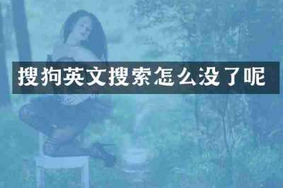 搜狗英文搜索怎么没了呢