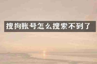 搜狗账号怎么搜索不到了