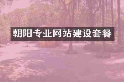 朝阳专业网站建设套餐