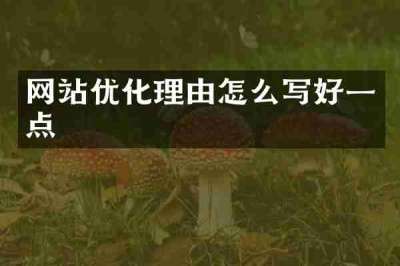 网站优化理由怎么写好一点