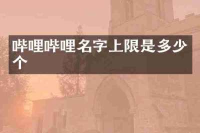哔哩哔哩名字上限是多少个