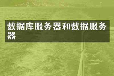 数据库服务器和数据服务器