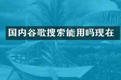 国内谷歌搜索能用吗现在