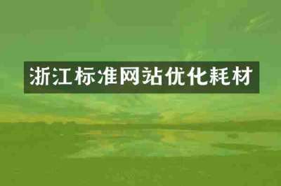 浙江标准网站优化耗材