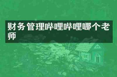 财务管理哔哩哔哩哪个老师