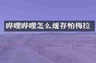哔哩哔哩怎么缓存帕梅拉