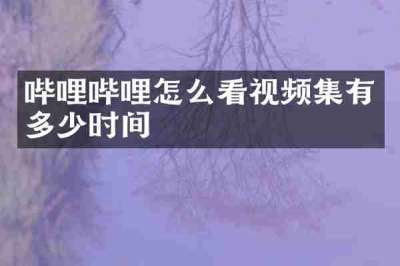 哔哩哔哩怎么看视频集有多少时间