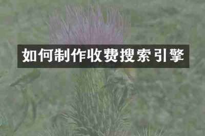 如何制作收费搜索引擎