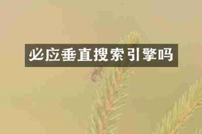 必应垂直搜索引擎吗