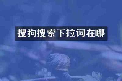 搜狗搜索下拉词在哪