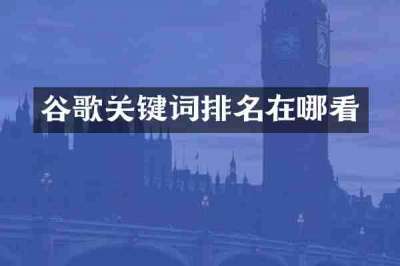 谷歌关键词排名在哪看