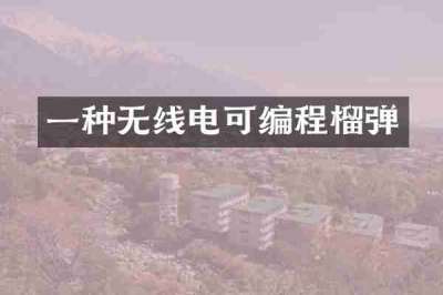 一种无线电可编程榴弹