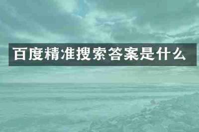 百度精准搜索答案是什么