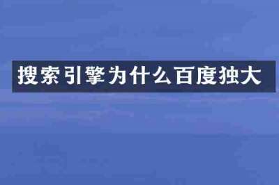 搜索引擎为什么百度独大