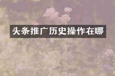 头条推广历史操作在哪