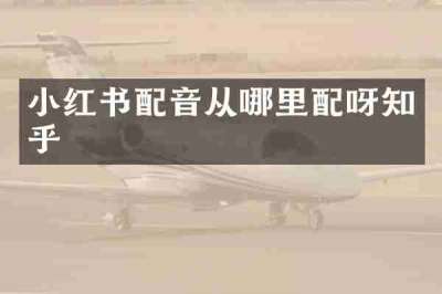 小红书配音从哪里配呀知乎