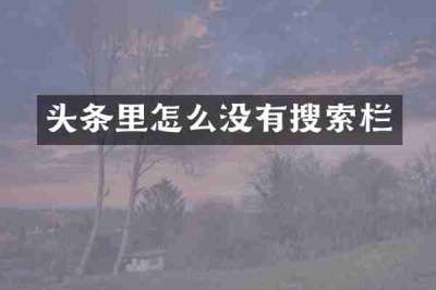 头条里怎么没有搜索栏