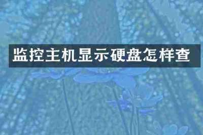 监控主机显示硬盘怎样查
