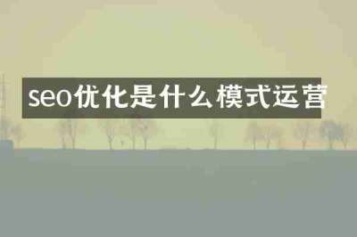 seo优化是什么模式运营
