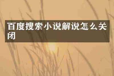 百度搜索小说解说怎么关闭
