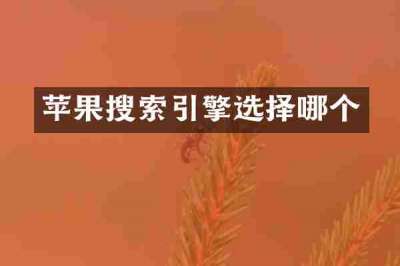 苹果搜索引擎选择哪个