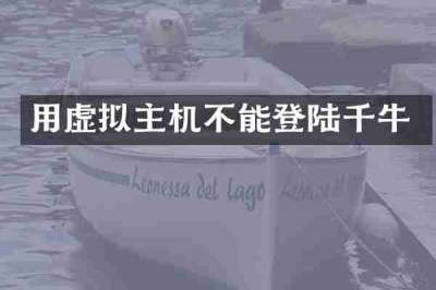 用虚拟主机不能登陆千牛