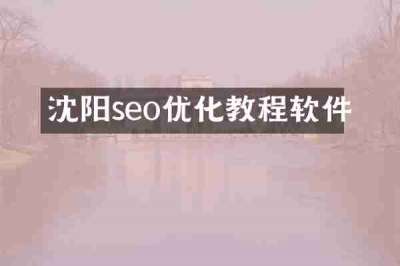 沈阳seo优化教程软件