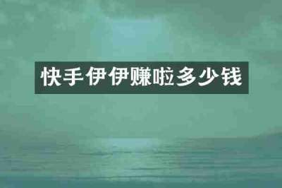 快手伊伊赚啦多少钱
