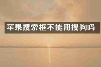 苹果搜索框不能用搜狗吗