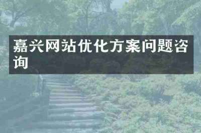 嘉兴网站优化方案问题咨询