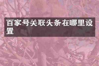 百家号关联头条在哪里设置