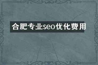 合肥专业seo优化费用