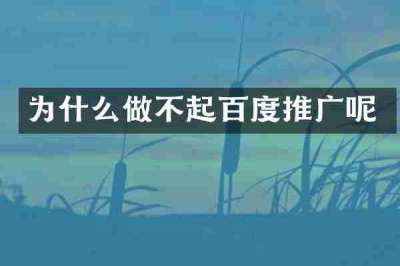 为什么做不起百度推广呢
