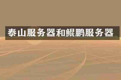 泰山服务器和鲲鹏服务器